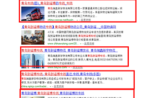 青岛瑞鑫新宇物流有限公司
